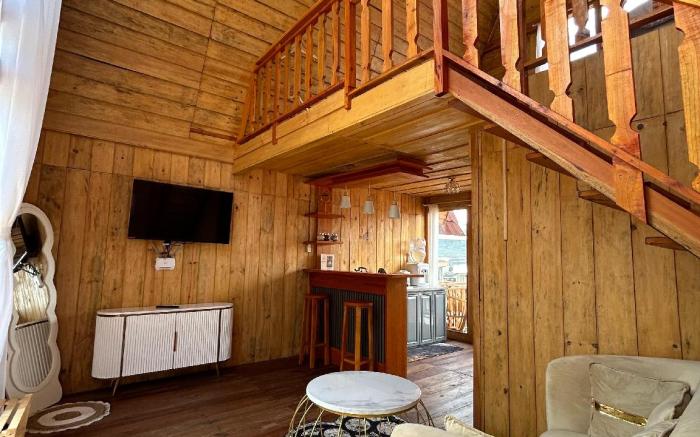 Kizuna villa dieng