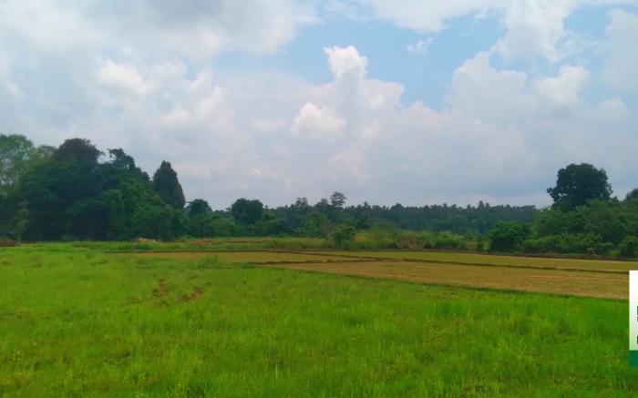 Mandara Nature Garden 