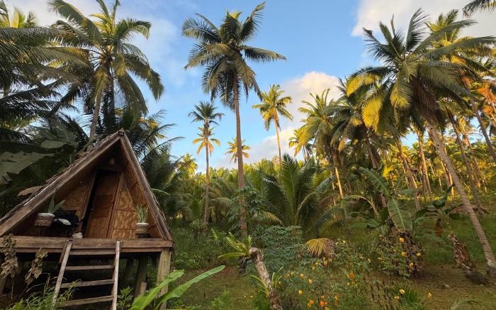 Era 's Garden Homestay