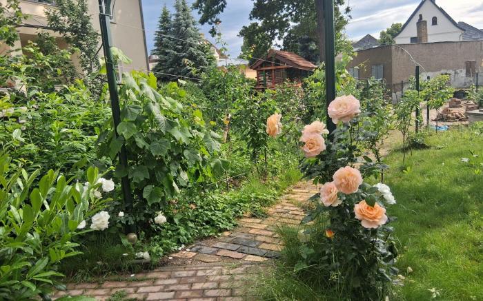 Casa Delli Gatti 399-4