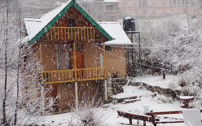 Pumpkin Stays Boutique Cottages And Tree House