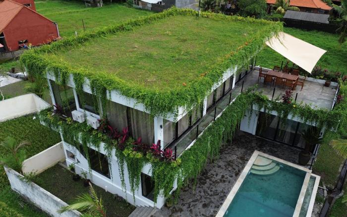 Ubud Green Escape, Amazing view