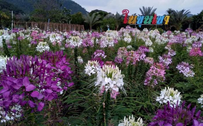 Nai Khun Khao Resort