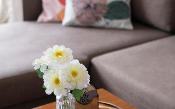 Breezy & Bright 2bhk Apt near Airport