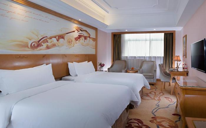 Vienna International Hotel Hunan Yiyang High-tech Zone High-speed Railway South Station