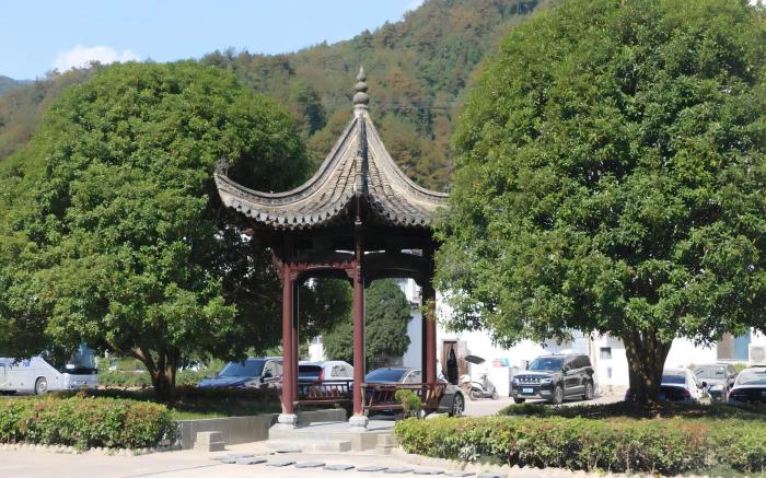 Vienna International Hotel 5.0 Huangshan Scenic Area South Gate Transfer Center