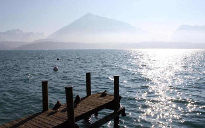 Swiss Apartment Thunersee