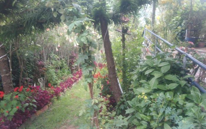 Nest Valley Kotagiri