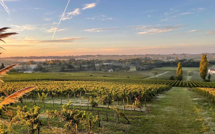 Maison de caract  re au c  ur des vignes