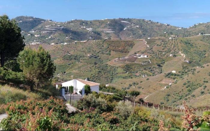 CASA ALBA