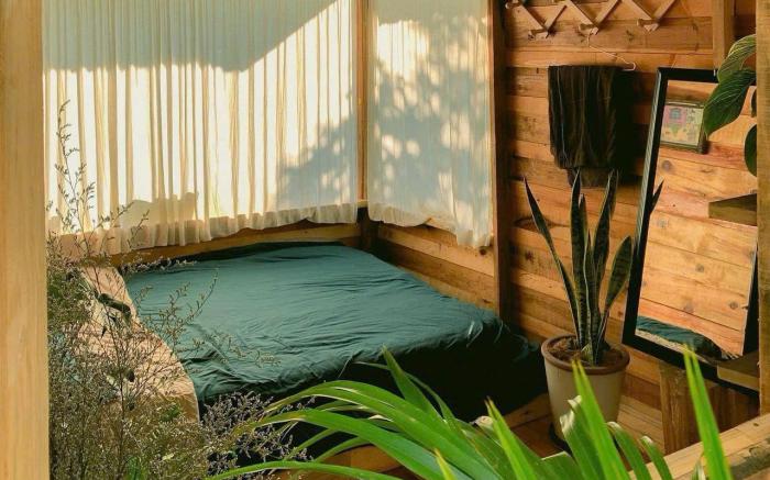 An homestay - forest healing