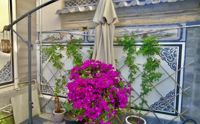 小熊之家Little Bear's Home