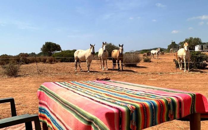 Michas caravan for 2 See the herd of horses from your bed