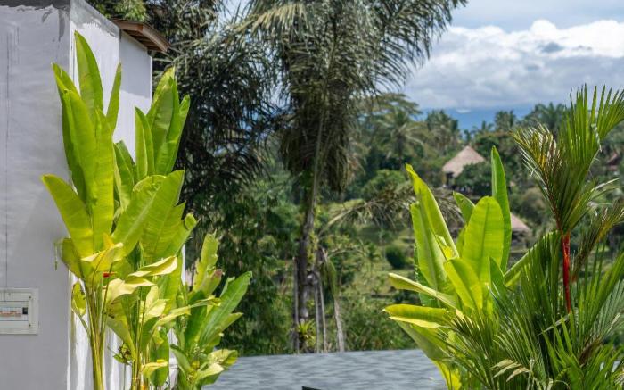 Micaela Bali Ubud Villas