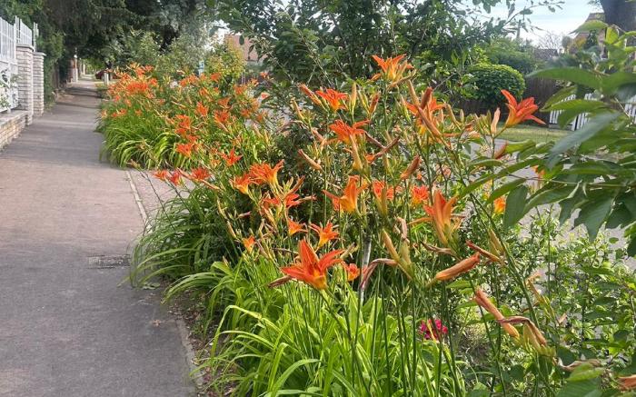 苹果酒店