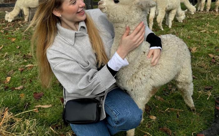 Silverstream Alpaca Farm-stay and Farm Tour