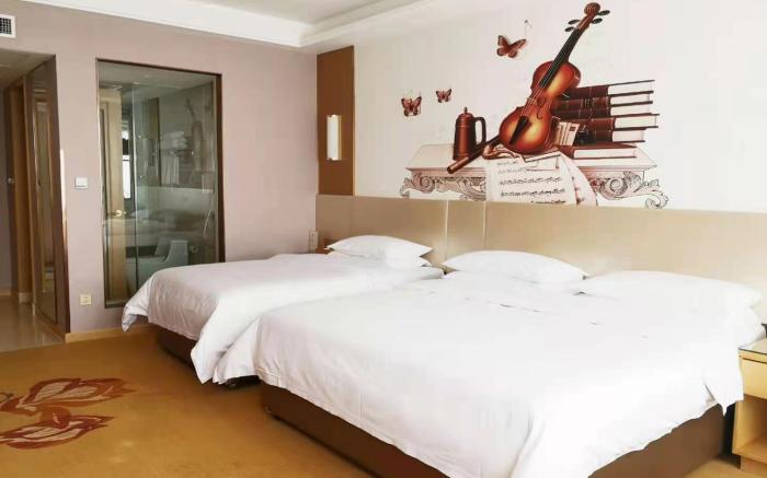 Vienna International Hotel Zhumadian Shangcai Caimingyuan Pedestrian Street