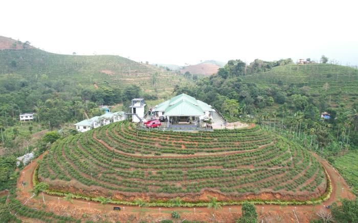 ThePrincess of Wayanad