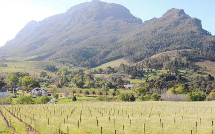 Banhoek Lodge