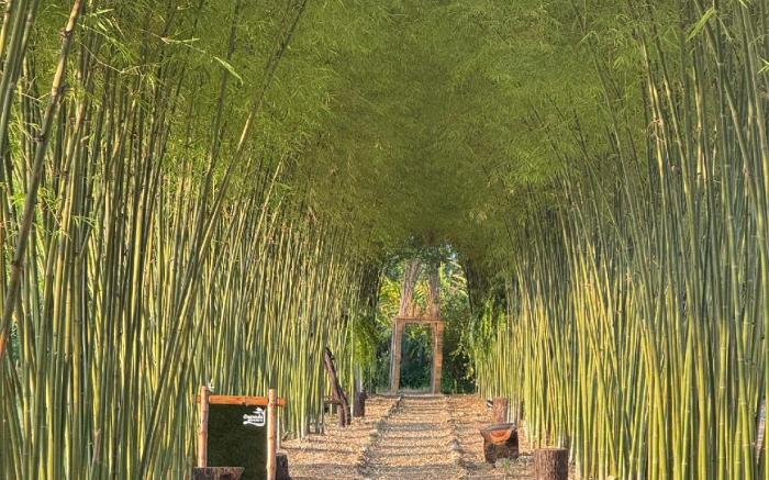 Baan Pleng Pai - Crafted Homestay