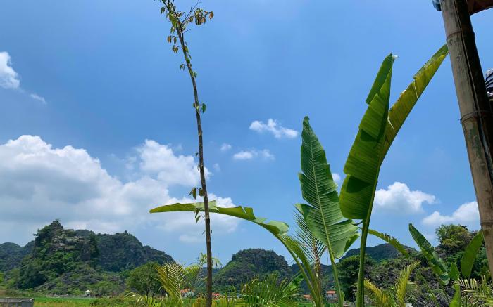 Rocky mountain ecology