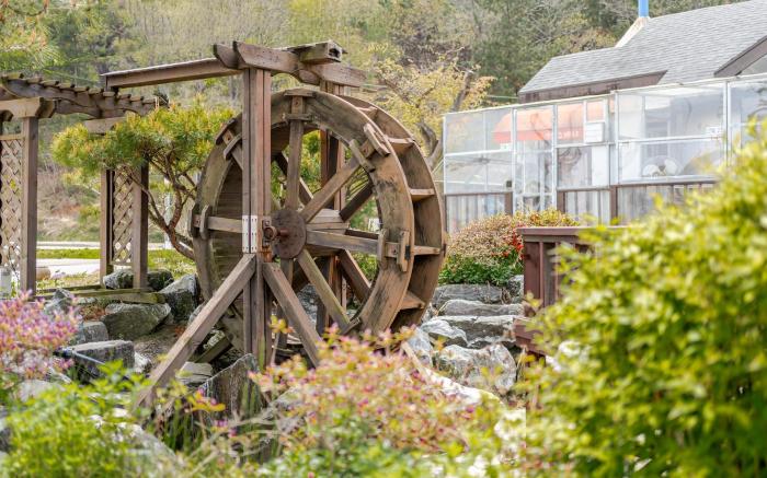 Daebudo Sketch Pension