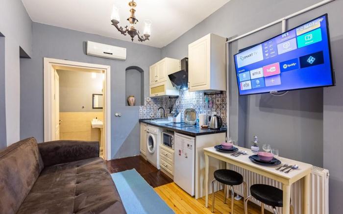 Big Studio flat w/kitchen near Galata Tower ,Metro
