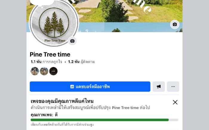 Pine tree time
