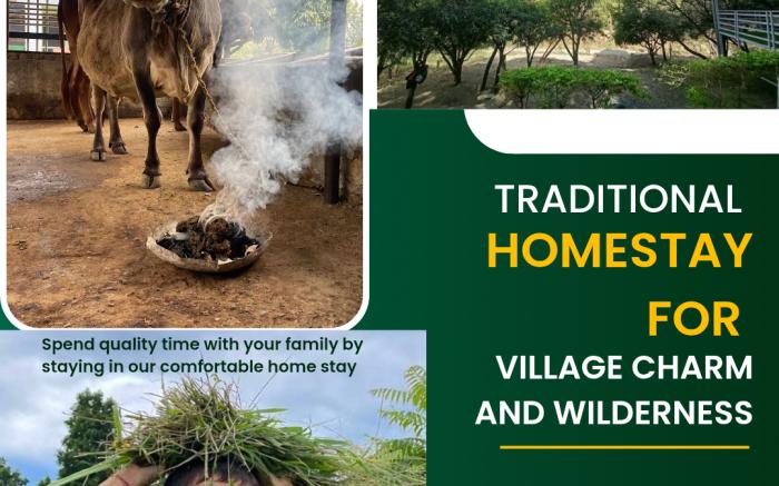 Ashutosh Homestay 