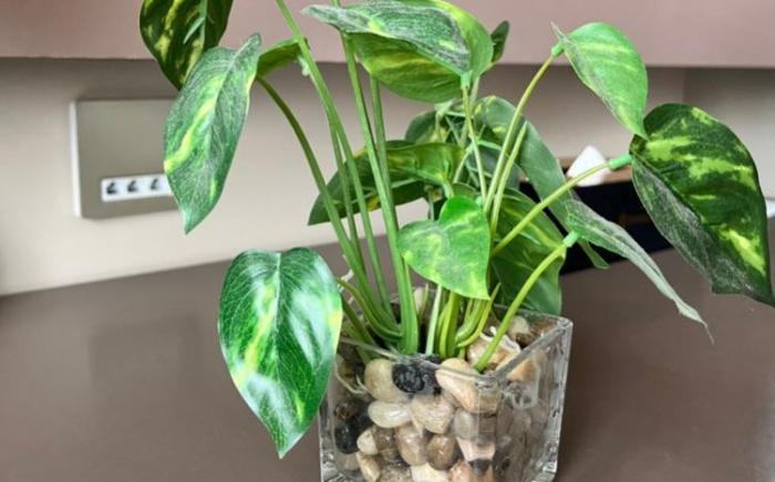 Home Inn Plus Weihai High-speed Railway Station Hanlefang Pedestrian Street