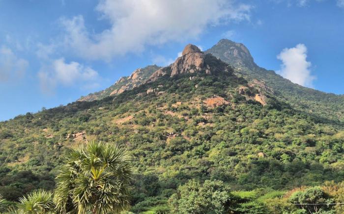 Arunachala Home