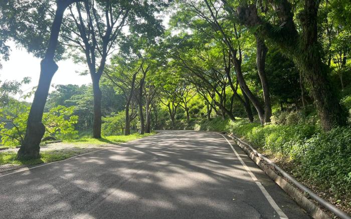 Swan Lake Cozy 2BRs plus 2Baths at Khao Yai National Park