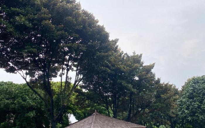 Adia Convention Center Hotel 