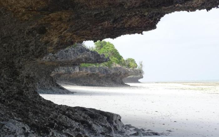 Ras Michamvi Beach Resort