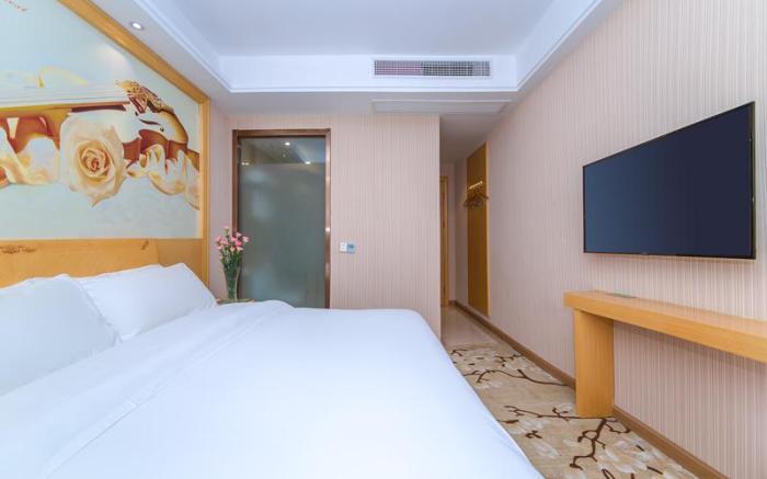 Vienna Classic Hotel Wuhan Optics Valley University Yuanlu Institute Of Technology