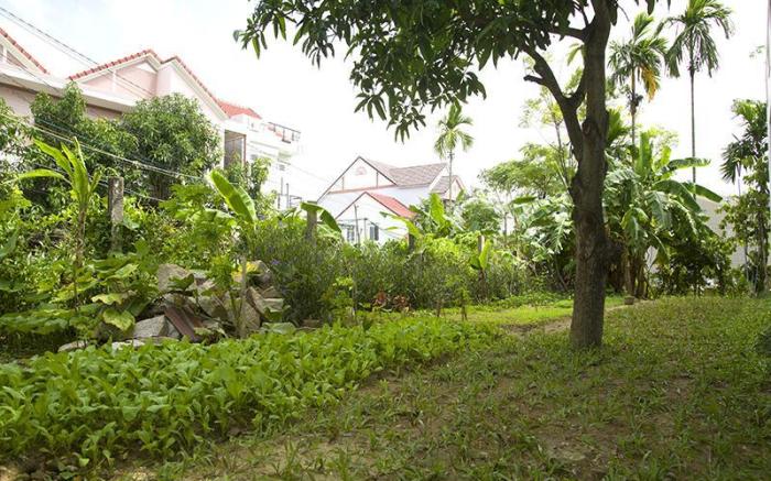 Joy Hoi An Homestay