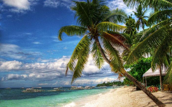 Alona Hidden Dream Resort by SMS Hospitality