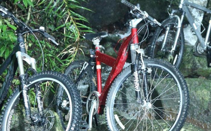 Sinharaja Forest Edge Guest House