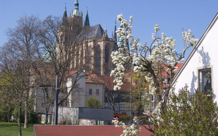 Pension am Dom