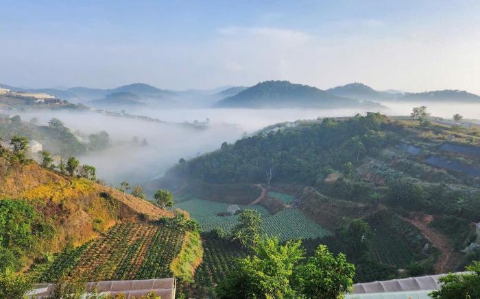 Homestay 3 Tầng Mây