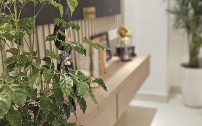 Aalaya By Karamya Homes