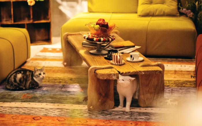 M Boutique Hotel