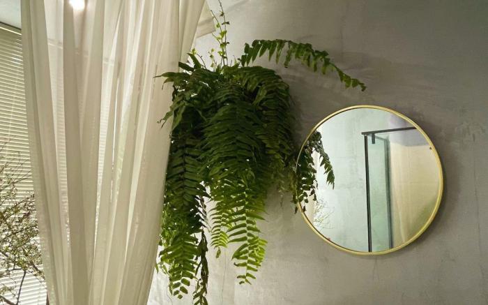 M Boutique Hotel