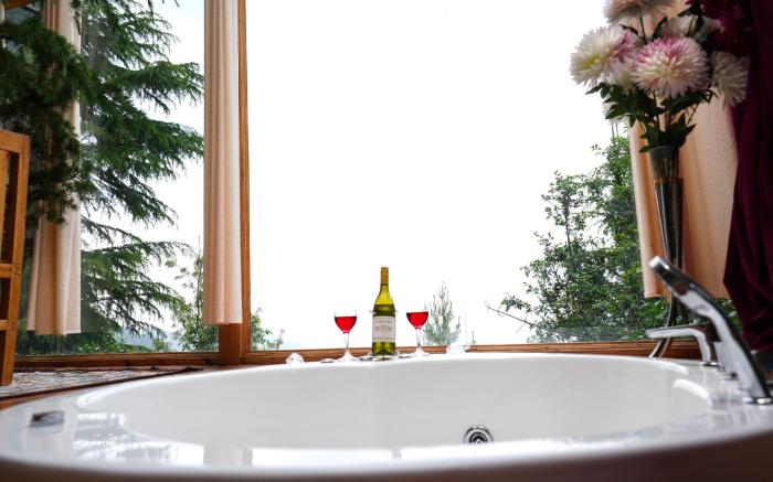 Thecozynest Jacuzzi treehouse