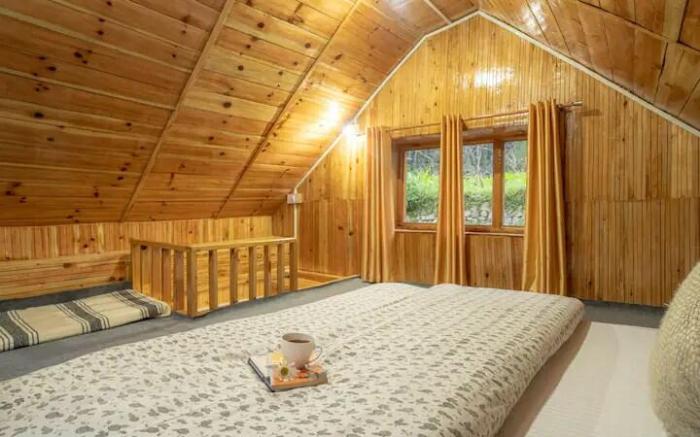 Duplex Valley view Cottage in Jibhi