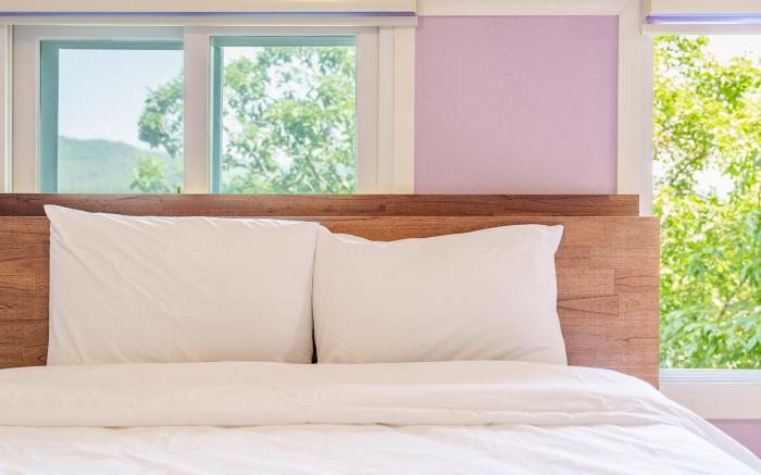 Gapyeong Nami Island Pet-Friendly Spa Pe