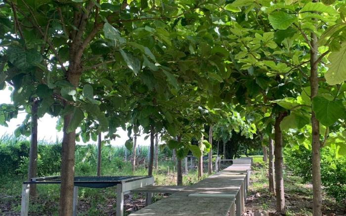 Tent มีแอร์ นอนได้2คน