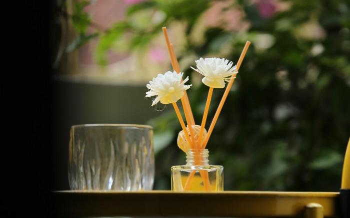 Vietnam Travelers Home 2 - One-Bedroom Apartment