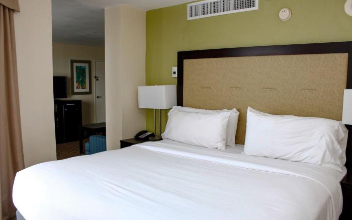 Holiday Inn Corpus Christi Downtown Marina By IHG