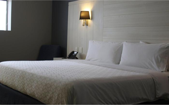 Holiday Inn Express Pachuca By IHG